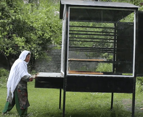 Mountain Agribusiness Private Limited (MAPL)